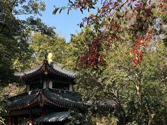 -罗浮山嘉宝田森林温泉度假酒店