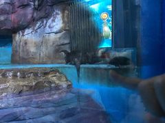 -多彩贵州城极地海洋世界