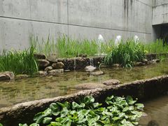 -中国湿地博物馆