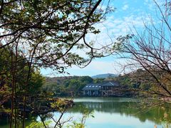 -白马涧龙池景区
