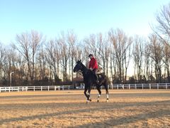 -月河湾马术俱乐部(朝阳店)