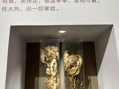 -北京中医药大学-中医药博物馆