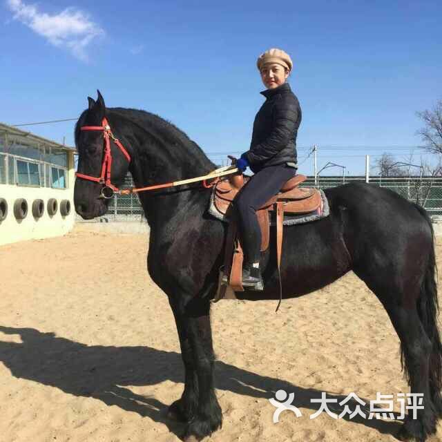 德林牧场马术俱乐部上传的图片