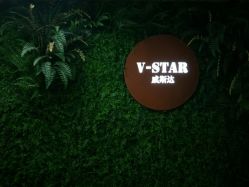 -V-STAR威斯达•高级私人定制