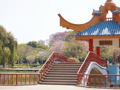 -金砂公园