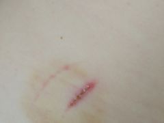 -1号足道推拿会馆