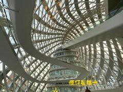 -凤凰中心