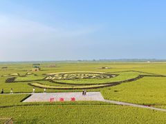 -红海滩国家风景廊道
