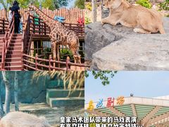 -济南野生动物世界