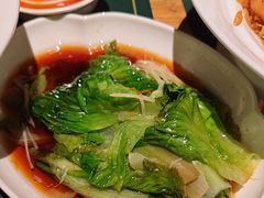 -老阿妈蒙古村·蒙古包·草原文化·歌舞表演(老君堂店)