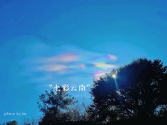 -云南野生动物园
