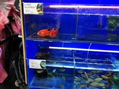 -大润发(南湖店)