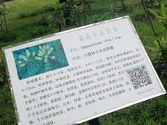 -济南植物园