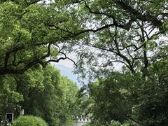 -古堰画乡景区