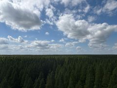 -黄海国家森林公园