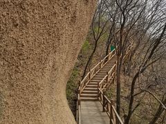 -大岭沟猕猴桃谷风景区