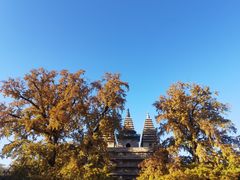 -北京石刻艺术博物馆(五塔寺)