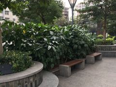 -广州中医药大学第一附属医院(总院)