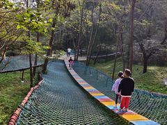 -原山国家森林公园