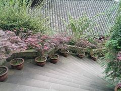 -峨眉山报国寺