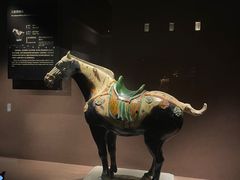 -洛阳古墓博物馆