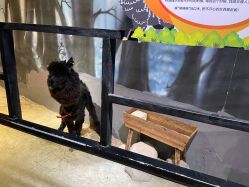 -酷嗒动物文化乐园(cutezoo西溪乐天城店)