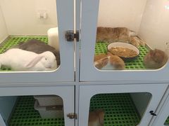 -阳光世纪奥特莱斯店