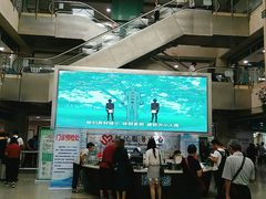 -上海市普陀区中心医院