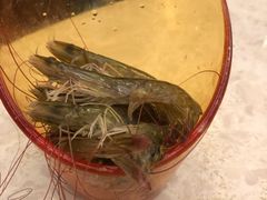 活虾-芭菲盛宴·环球美食(解放碑英利国际店)