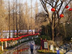 -百脉泉景区