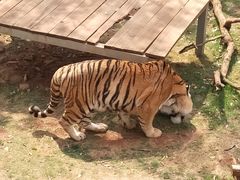 -昆明动物园