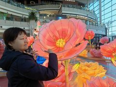 -中8楼风尚云南菜(颐堤港店)