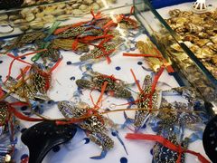 河蟹-川骄海鲜自助(河东店)