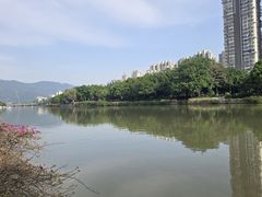 -光明港公园