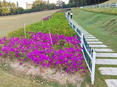 -紫马岭公园