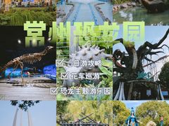 -中华恐龙园