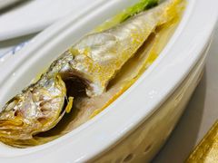 舟山小黄鱼-琼林徽宴(中央门店)