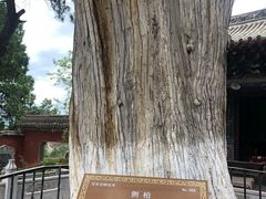 -玉泉观