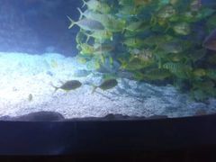 -烟台海昌鲸鲨海洋公园