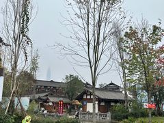 -三圣花乡旅游区