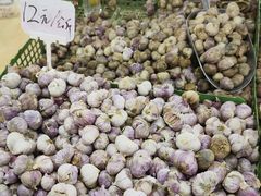 -五里多农博广场