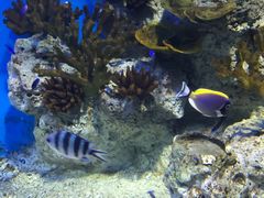 -福州罗源湾海洋世界旅游区