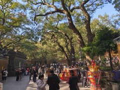 -普陀山风景名胜区-法雨禅寺