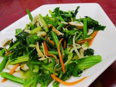 -品雅轩农家乐