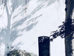-艺圃