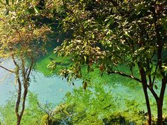 -石台牯牛降景区