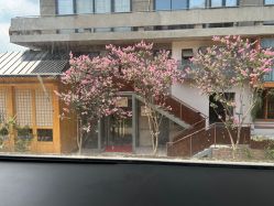 -马克叔叔的照相馆(东门店)