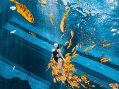 -三亚海昌梦幻海洋不夜城