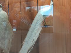 -九六广场-停车场