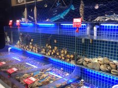 水产区-必点海鲜·鲅鱼水饺(鞍山西道店)